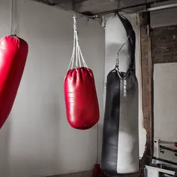 The Brutal Evolution of Boxing