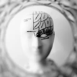 The Memory Mastermind: Unleashing Your Brain's Potential