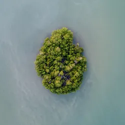 Did Tourists Rent an Entire Island Just to Play Hide and Seek?