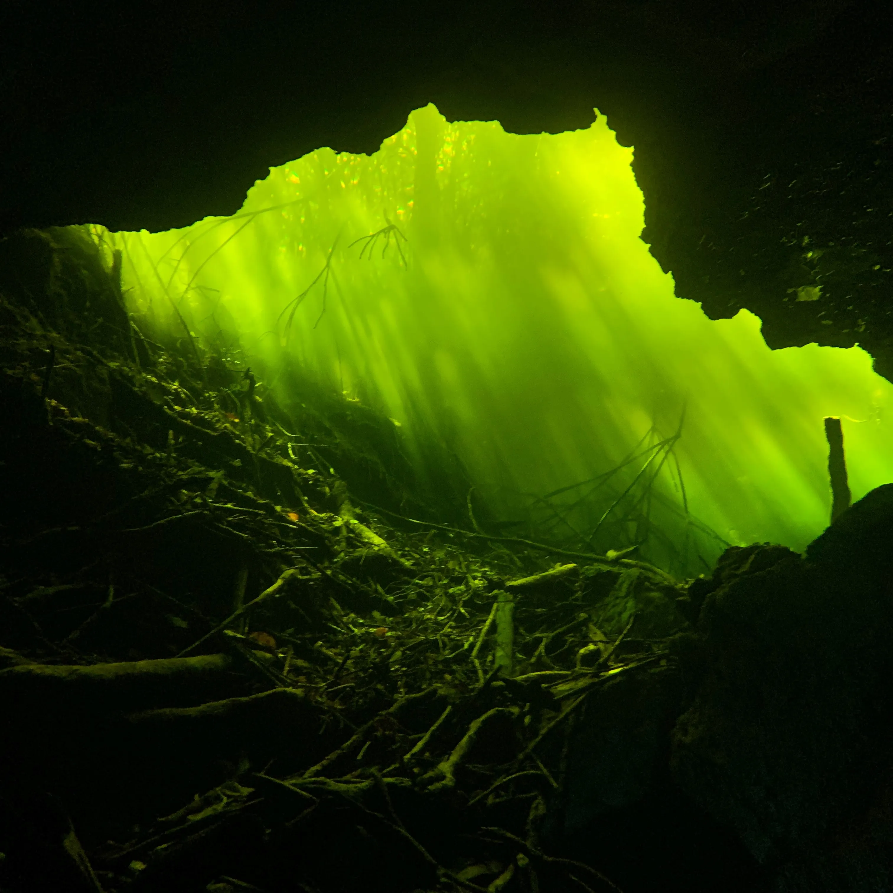 the-worlds-largest-underwater-cave-has-been-discovered